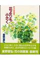 花よりも小さく