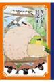 キジバトくん日記 2