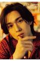 田村心フォトエッセイ『Shin Tamura』