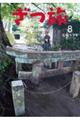 ざつ旅ーThat’s Journeyー 8