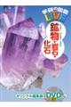 鉱物・岩石・化石
