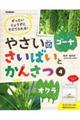 やさいのさいばいとかんさつ 4