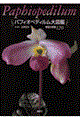 �p�t�B�I�y�f�B������}��