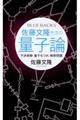 佐藤文隆先生の量子論