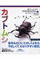 カブトムシ
