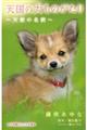 天国の犬ものがたり