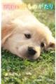 天国の犬ものがたり〜HOME ホーム〜