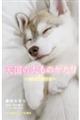 天国の犬ものがたり〜MOTHER〜