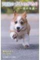 天国の犬ものがたり