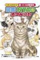 図鑑NYAO ネコみっけ!