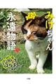 みけちゃん永遠物語