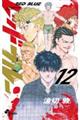 レッドブルー 12