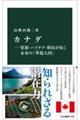 �J�i�_�\�����E�n�C�e�N�E�ږ����񂭖����́u�����卑�v