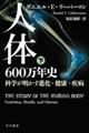 人体六〇〇万年史 下