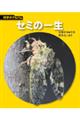 セミの一生 新装版