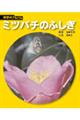 ミツバチのふしぎ 新装版