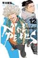 ナインピークス 12