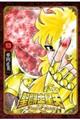 聖闘士星矢Final Edition 13