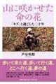 �R�ɍ炩�������̉�