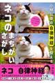 ���эO�K�̎����_�o�𐮂���l�R�̂܂�����������