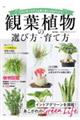 観葉植物の選び方・育て方