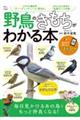 野鳥のきもちがわかる本