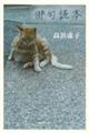 俳句読本