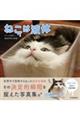 ねこは液体