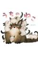 うちのねこ