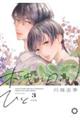 木洩れ日のひと 新装版 3
