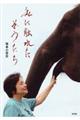 私に触れたぞうたち