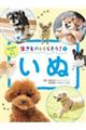 いぬ