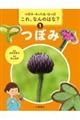 つぼみ