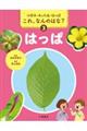 はっぱ