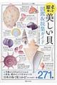 美しい貝図鑑&採集ガイド