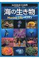 365日出会う大自然海の生き物