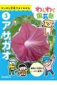 アサガオ