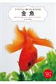 アクアリウム☆飼い方上手になれる!金魚