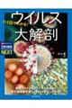 ひと目でわかる!ウイルス大解剖