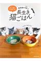 獣医師が考案した長生き猫ごはん