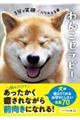 わんこセラピー