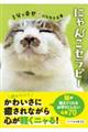 にゃんこセラピー