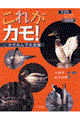 これがカモ!