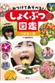みつけてあそべる!しょくぶつ図鑑 つぼみと花