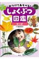 みつけてあそべる!しょくぶつ図鑑 はっぱ