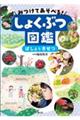 みつけてあそべる!しょくぶつ図鑑 ばしょときせつ