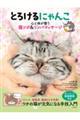 とろけるにゃんこ 心と体が整う猫ツボ&リンパマッサージ