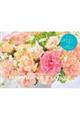 Yoko Takeuchi Happiness Flower Calendar【S14】 2026