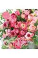 Atsushi Taniguchi European Flower Calender【S20】 2026
