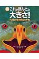 続これがほんとの大きさ!